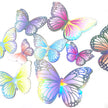 Groups of Rainbow Hot Silver Butterflies Decoration Set