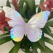 Groups of Rainbow Hot Silver Butterflies Decoration Set