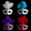 Elegant Feathered Mask with Imitation Diamond Edging