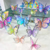 Groups of Rainbow Hot Silver Butterflies Decoration Set